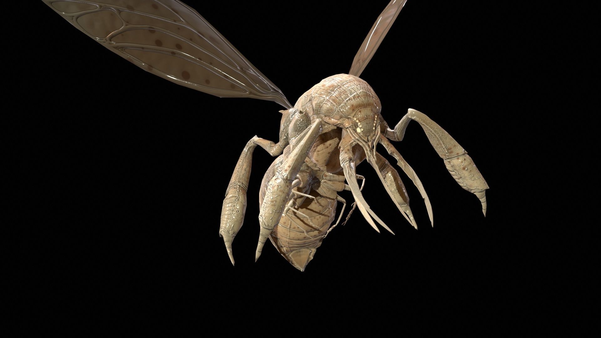 FlyingBugA3 Low-poly 3D model_15