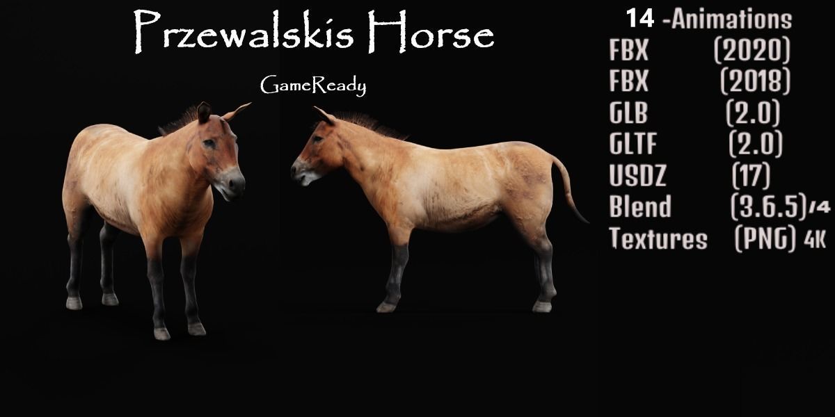 Mongolian Przewalski Wild Horse 3D model_1