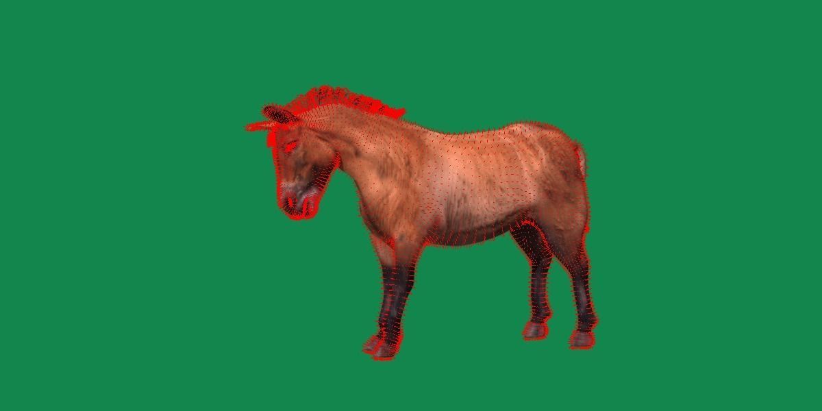 Mongolian Przewalski Wild Horse 3D model_12
