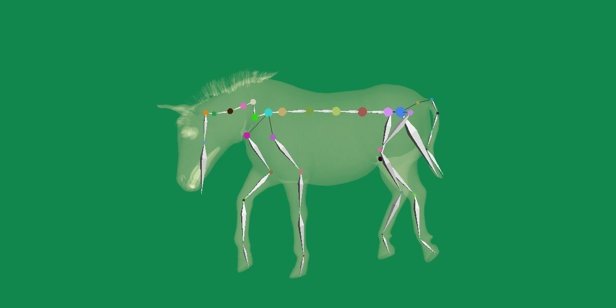 Mongolian Przewalski Wild Horse 3D model_19