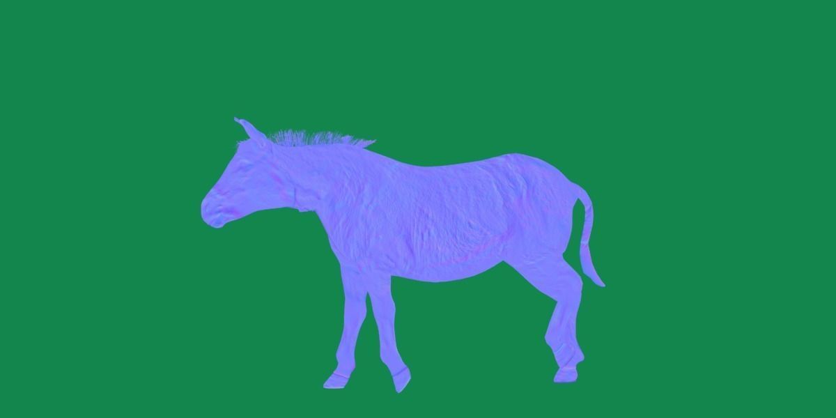 Mongolian Przewalski Wild Horse 3D model_23