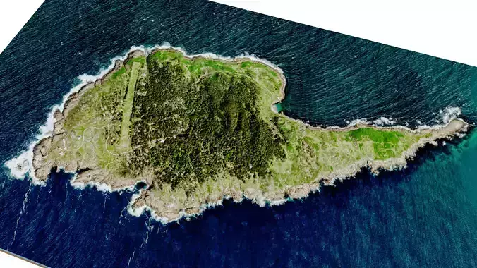 Gabo Island 3d model terrain Low-poly 3D model
