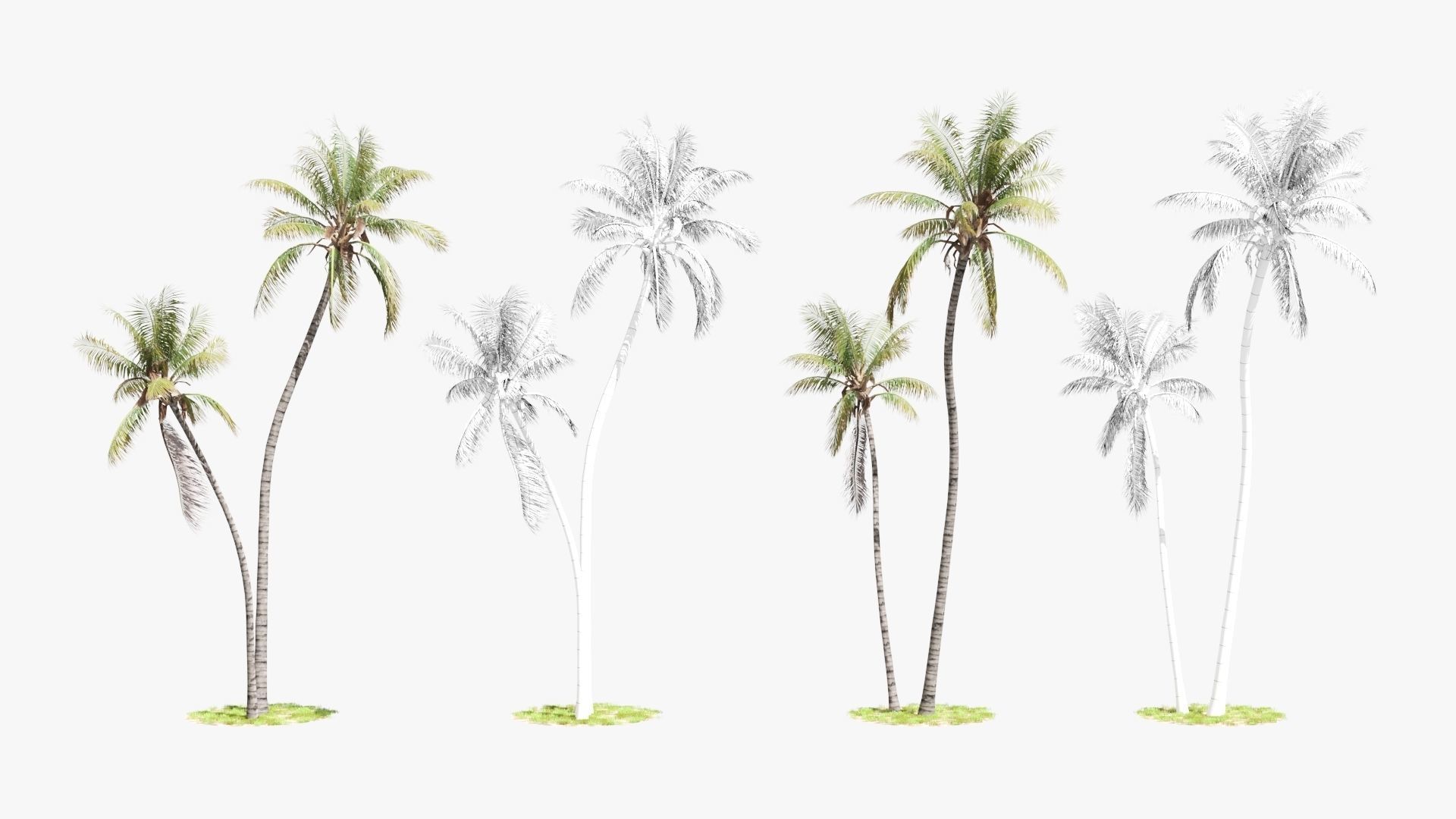 8 Model Coconut Tree with looped wind animation Low-poly 3D model_8