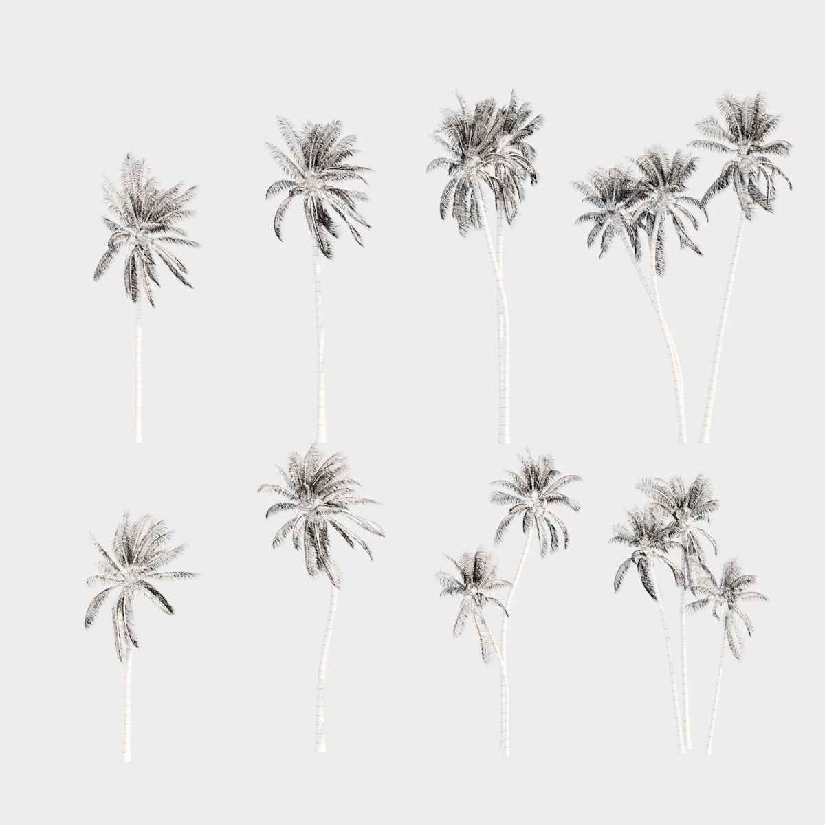 8 Model Coconut Tree with looped wind animation Low-poly 3D model_13