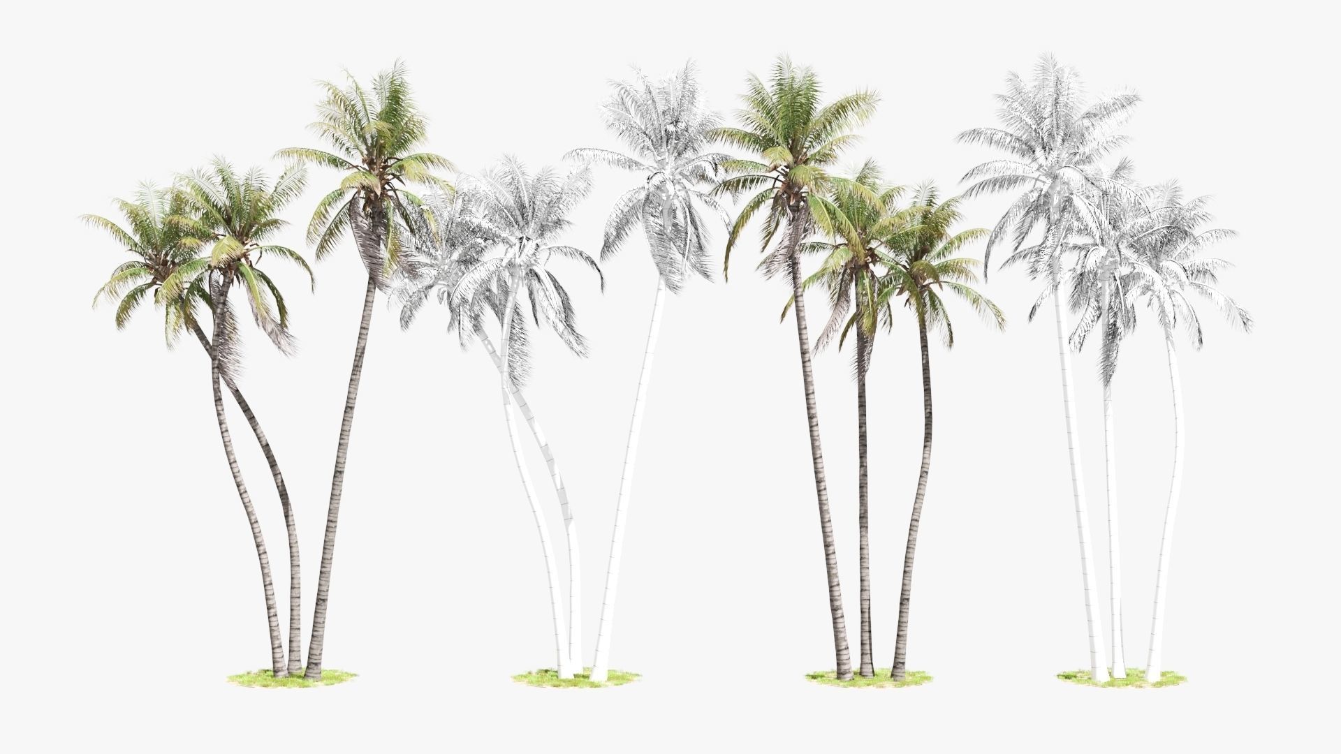 8 Model Coconut Tree with looped wind animation Low-poly 3D model_11