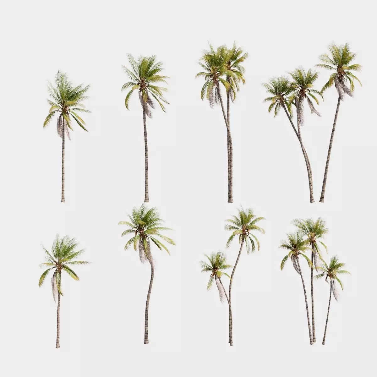 8 Model Coconut Tree with looped wind animation Low-poly 3D model_0