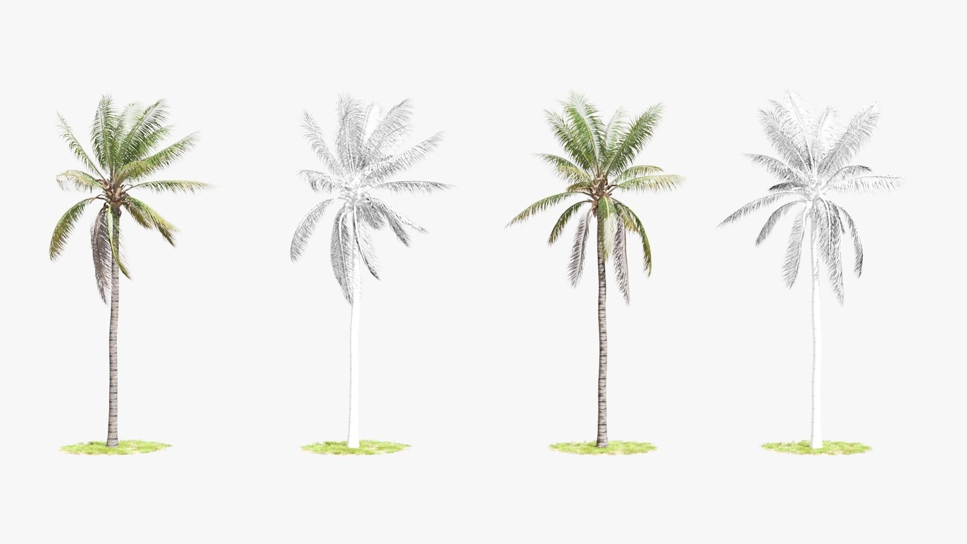 8 Model Coconut Tree with looped wind animation Low-poly 3D model_4