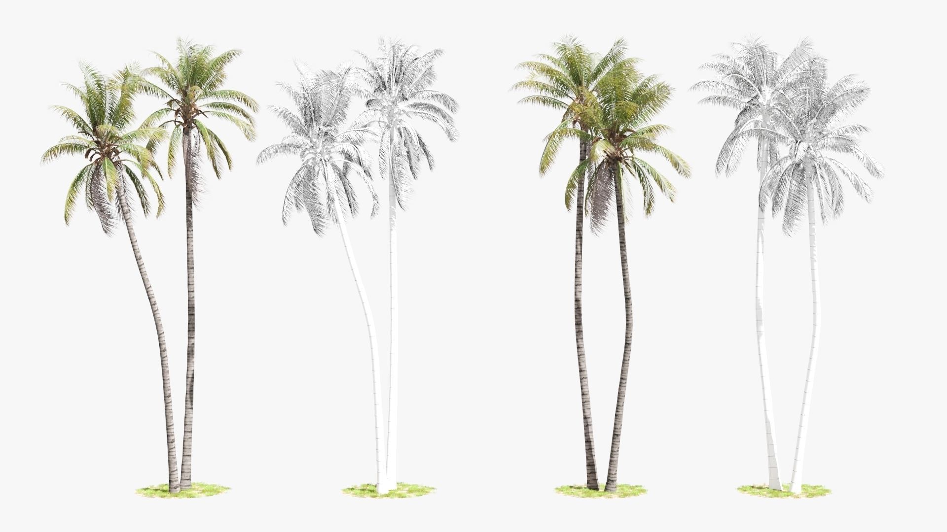 8 Model Coconut Tree with looped wind animation Low-poly 3D model_9