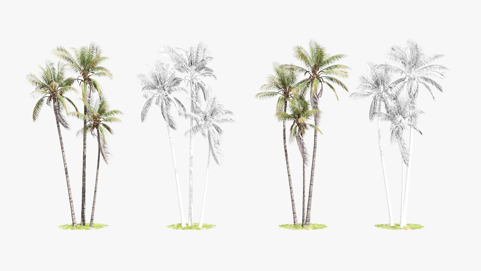 8 Model Coconut Tree with looped wind animation Low-poly 3D model_10