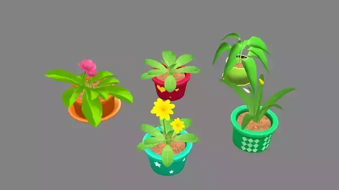 Potted plants - B
