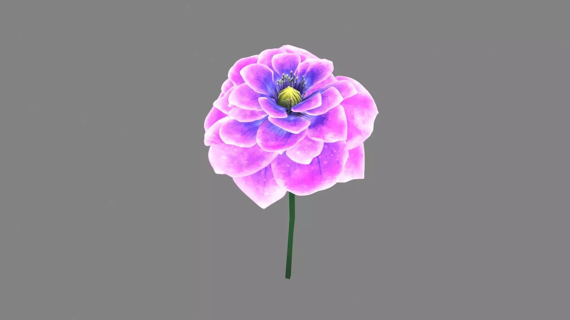 A purple flower Low-poly 3D model_0