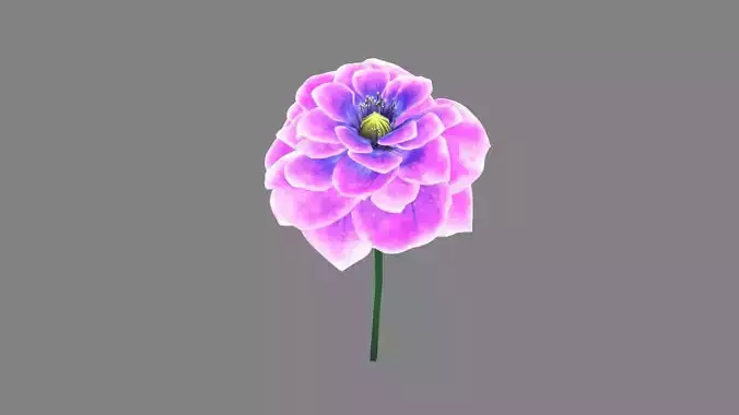 A purple flower