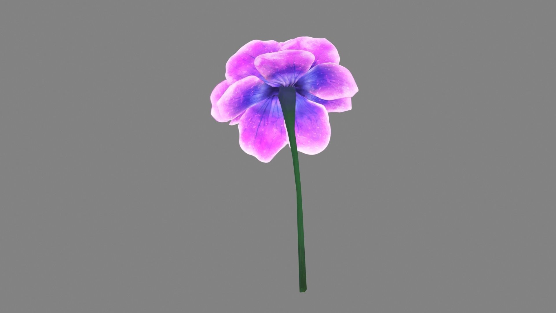 A purple flower Low-poly 3D model_2
