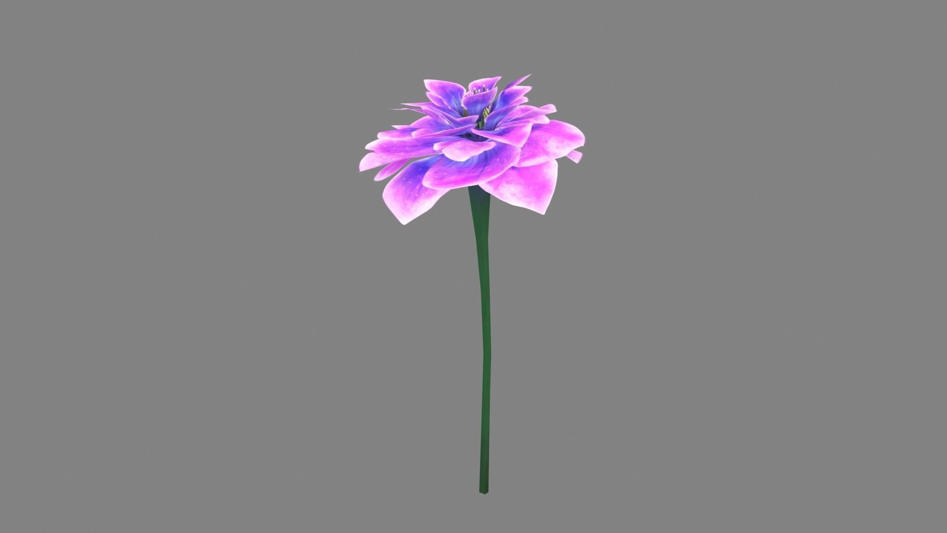 A purple flower Low-poly 3D model_1
