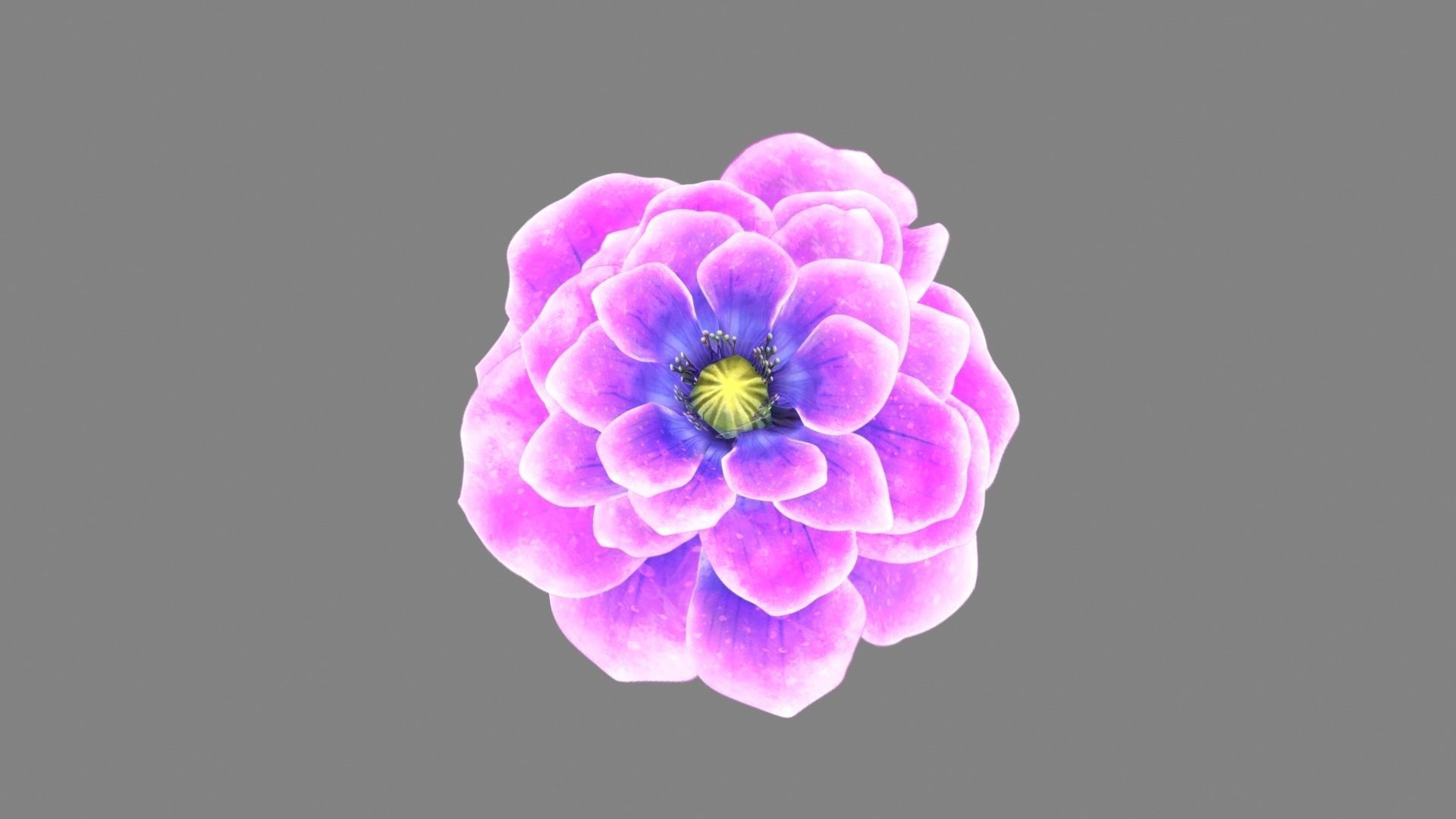 A purple flower Low-poly 3D model_3