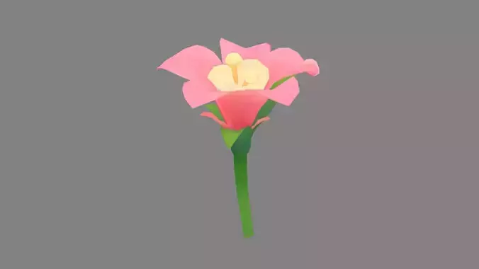 A pink flower
