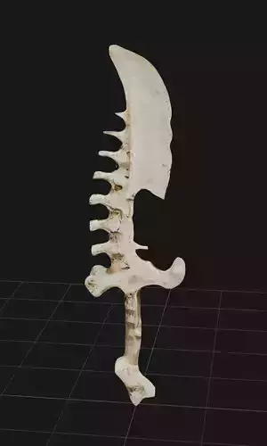 Bone Sword