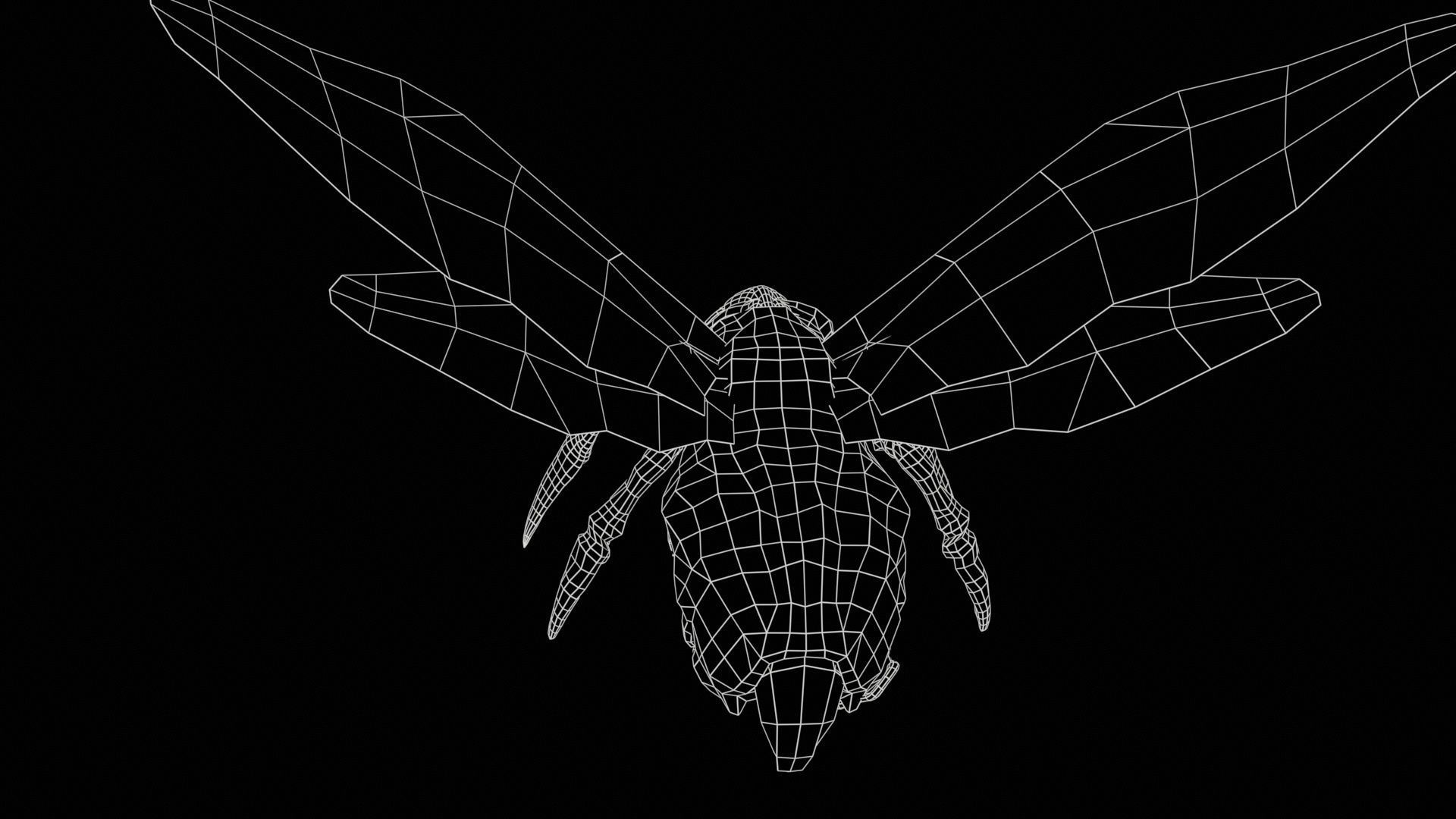 FlyingBug4 A1 Low-poly 3D model_10