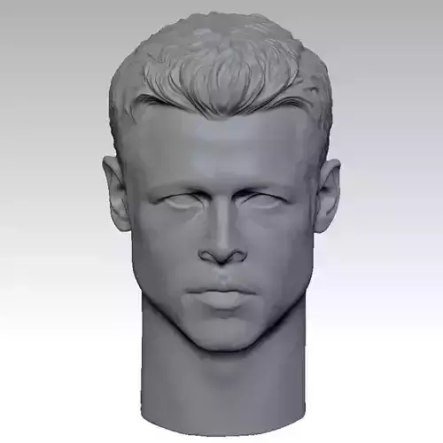 THE Se7en Brad Pitt HEAD SCULPTURE 3D PRINT MODEL 