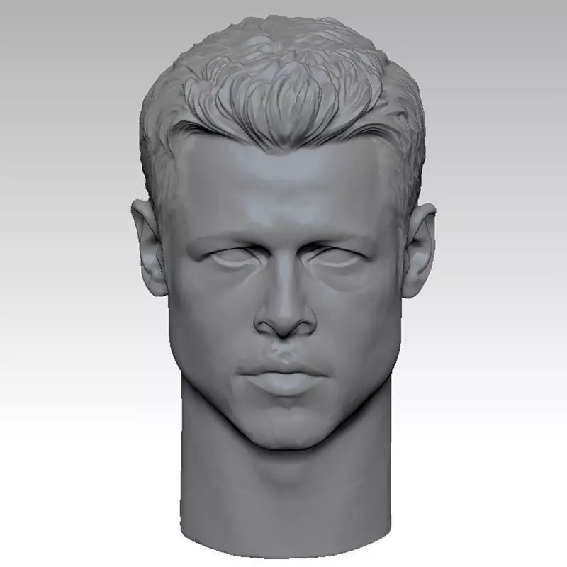 THE Se7en Brad Pitt HEAD SCULPTURE 3D PRINT MODEL 3D print model