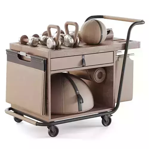 SOPHIA  SET WITH GYM EQUIPMENT