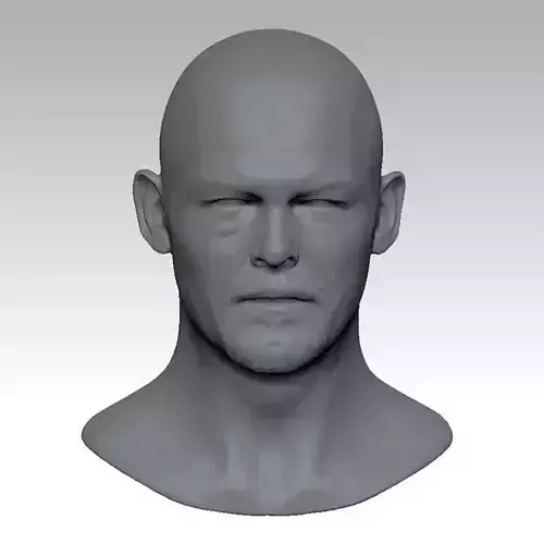 Norman Reedus HEAD SCULPTURE 3D PRINT MODEL  3D print model