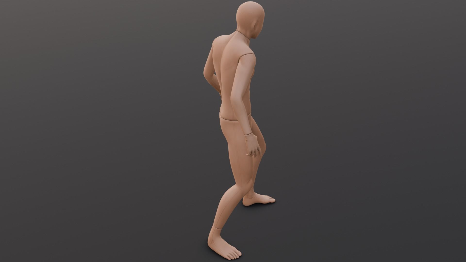 Human Body Rigged 3D Model Low-poly 3D model_7