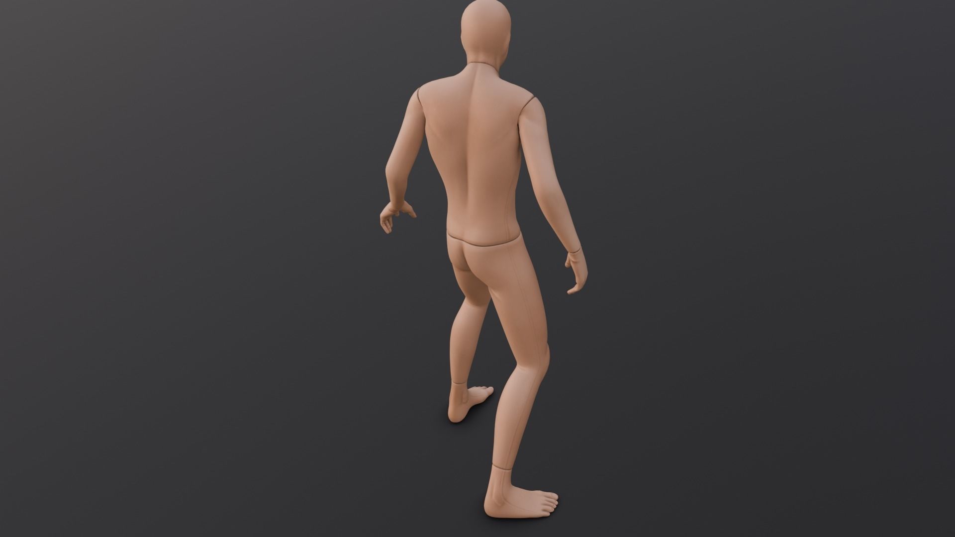 Human Body Rigged 3D Model Low-poly 3D model_8