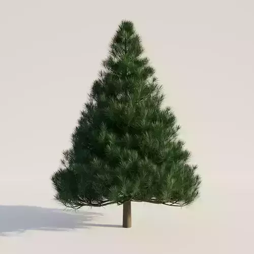High Quality realistic Pine tree