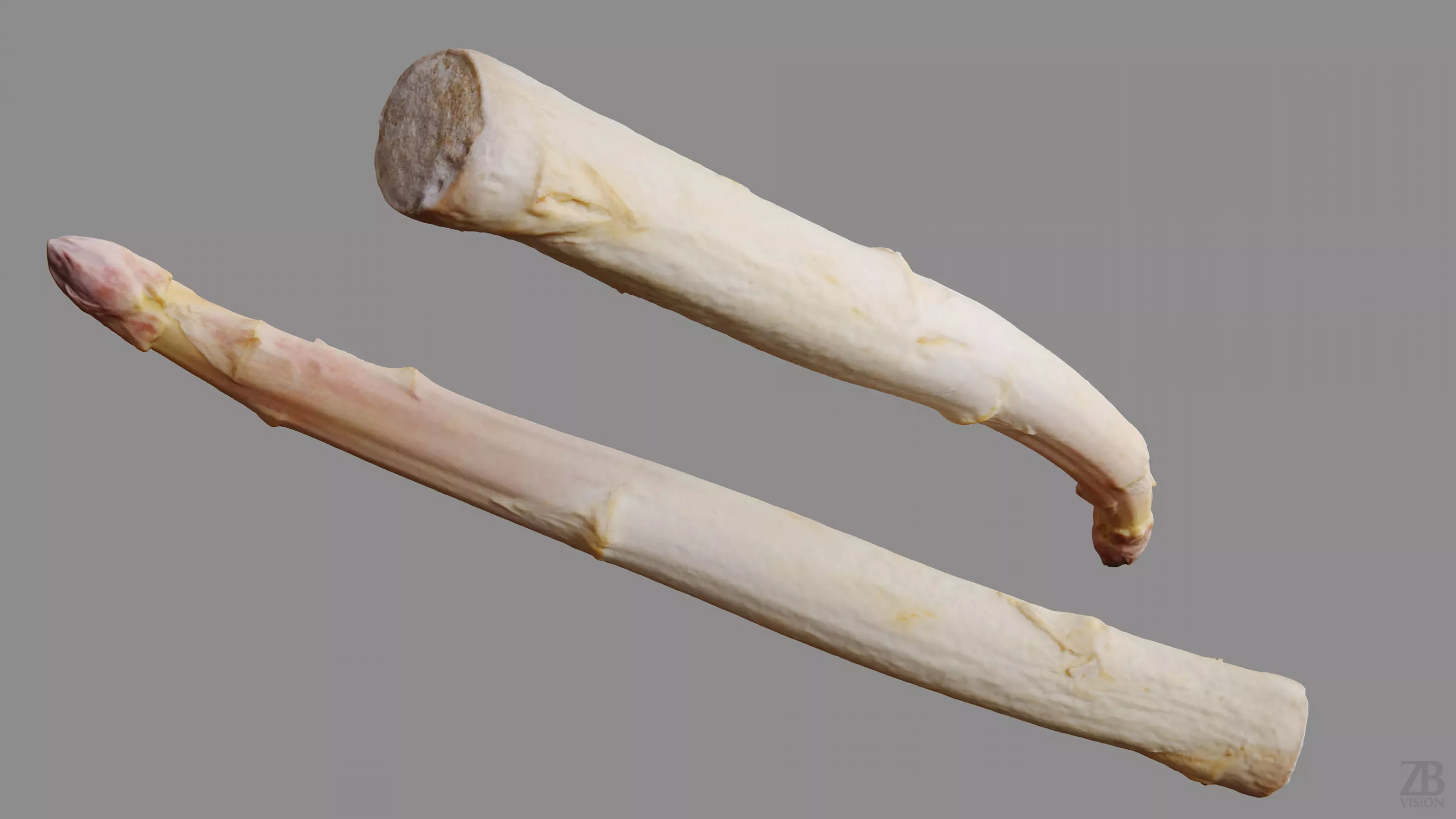 Asparagus 3D model_9