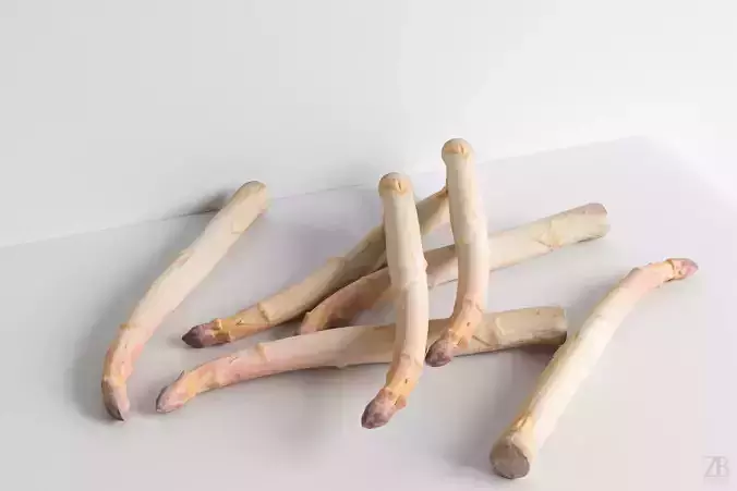 Asparagus 3D model