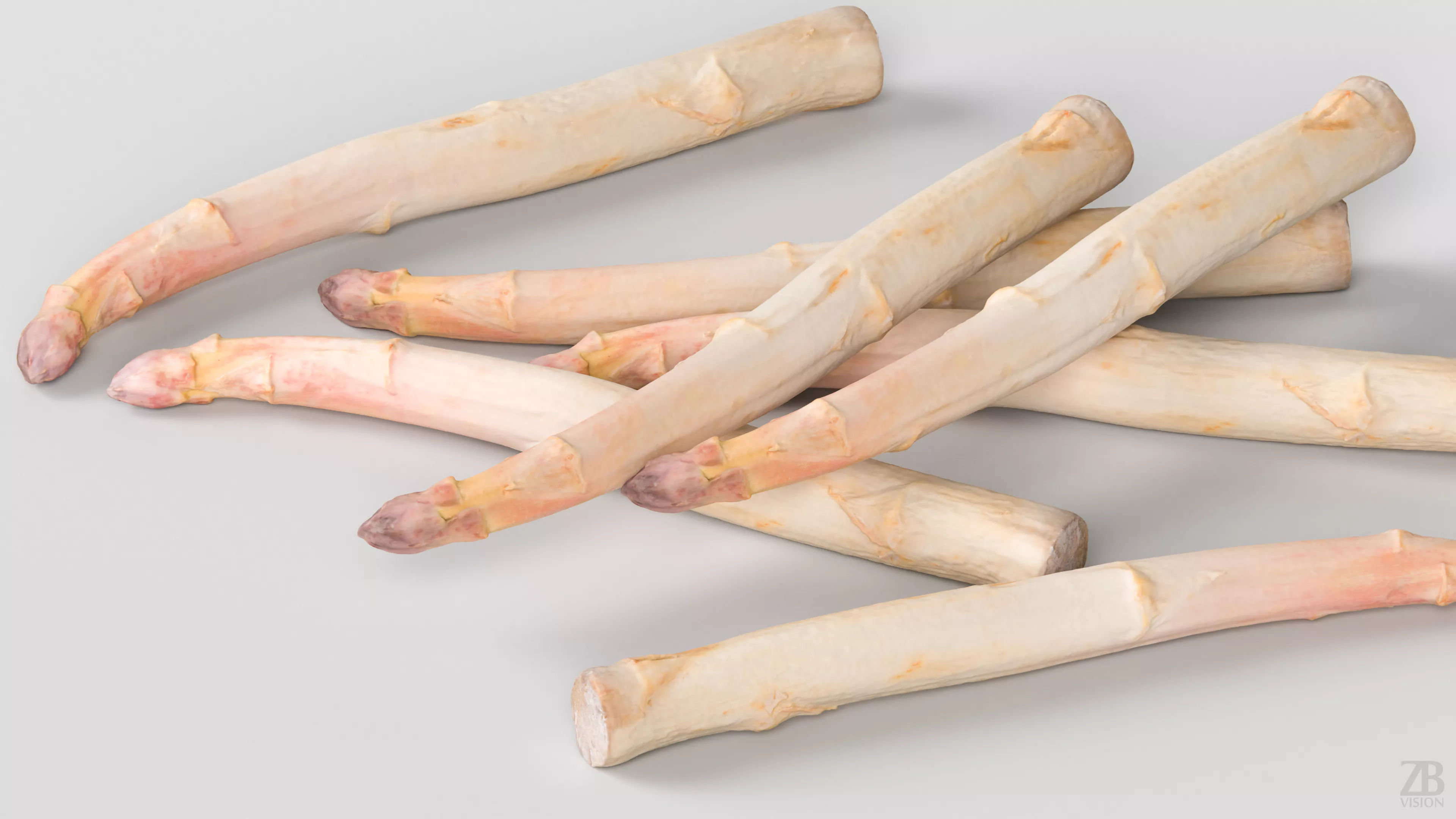 Asparagus 3D model_2