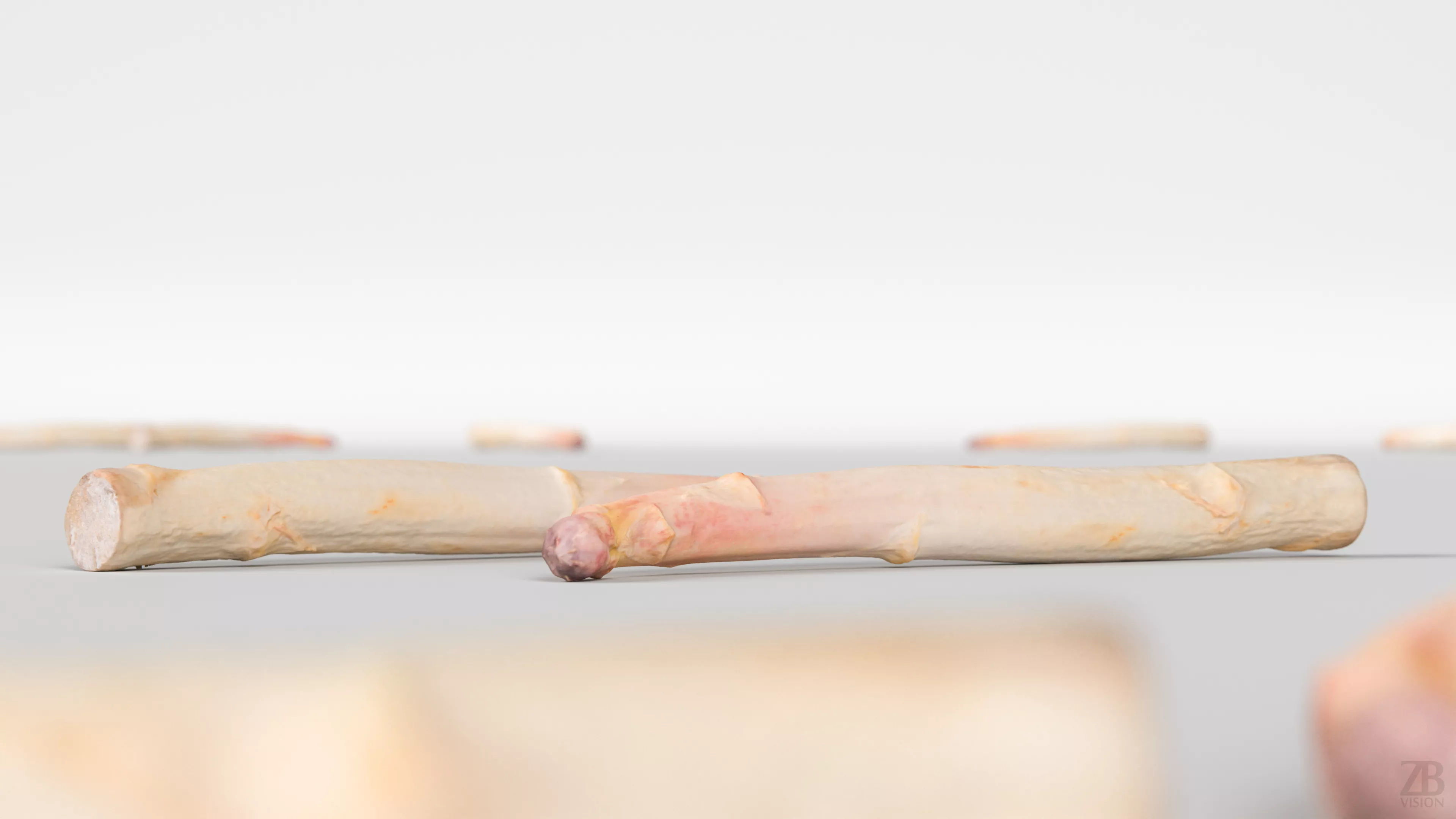 Asparagus 3D model_1