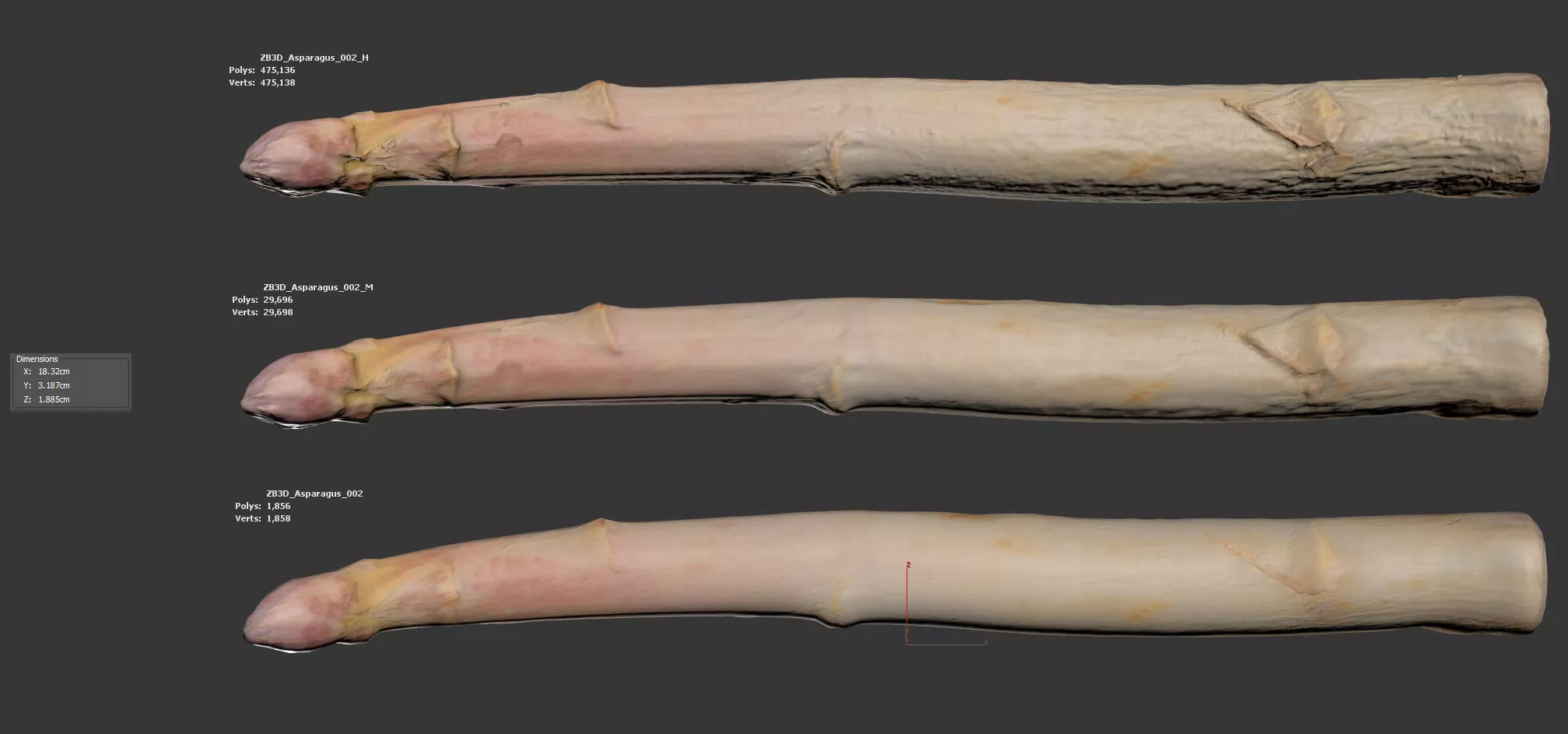 Asparagus 3D model_5