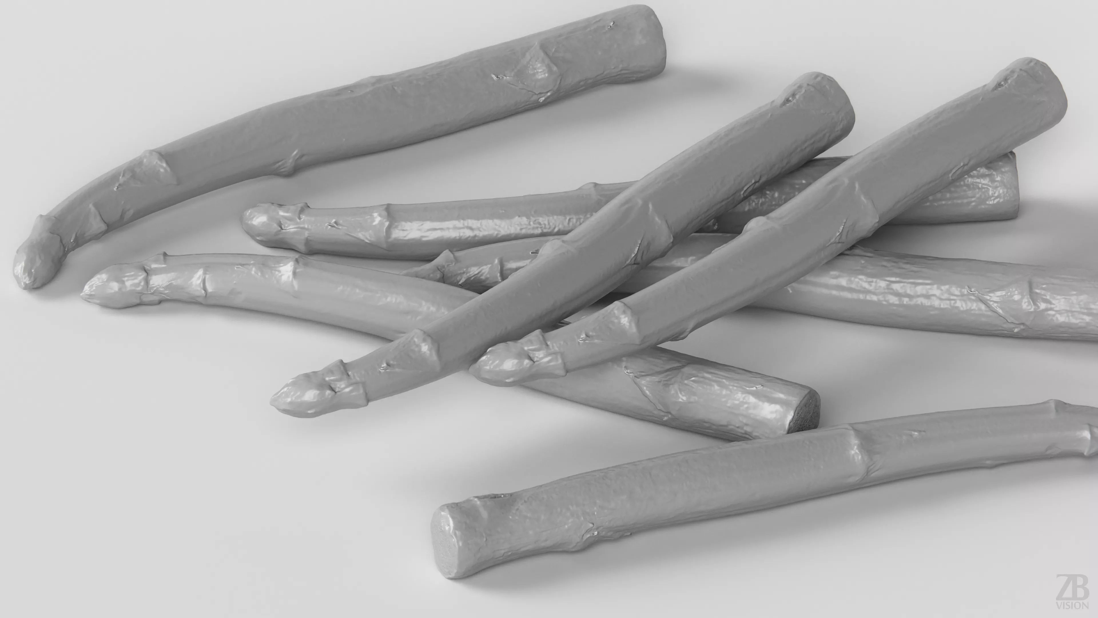 Asparagus 3D model_3