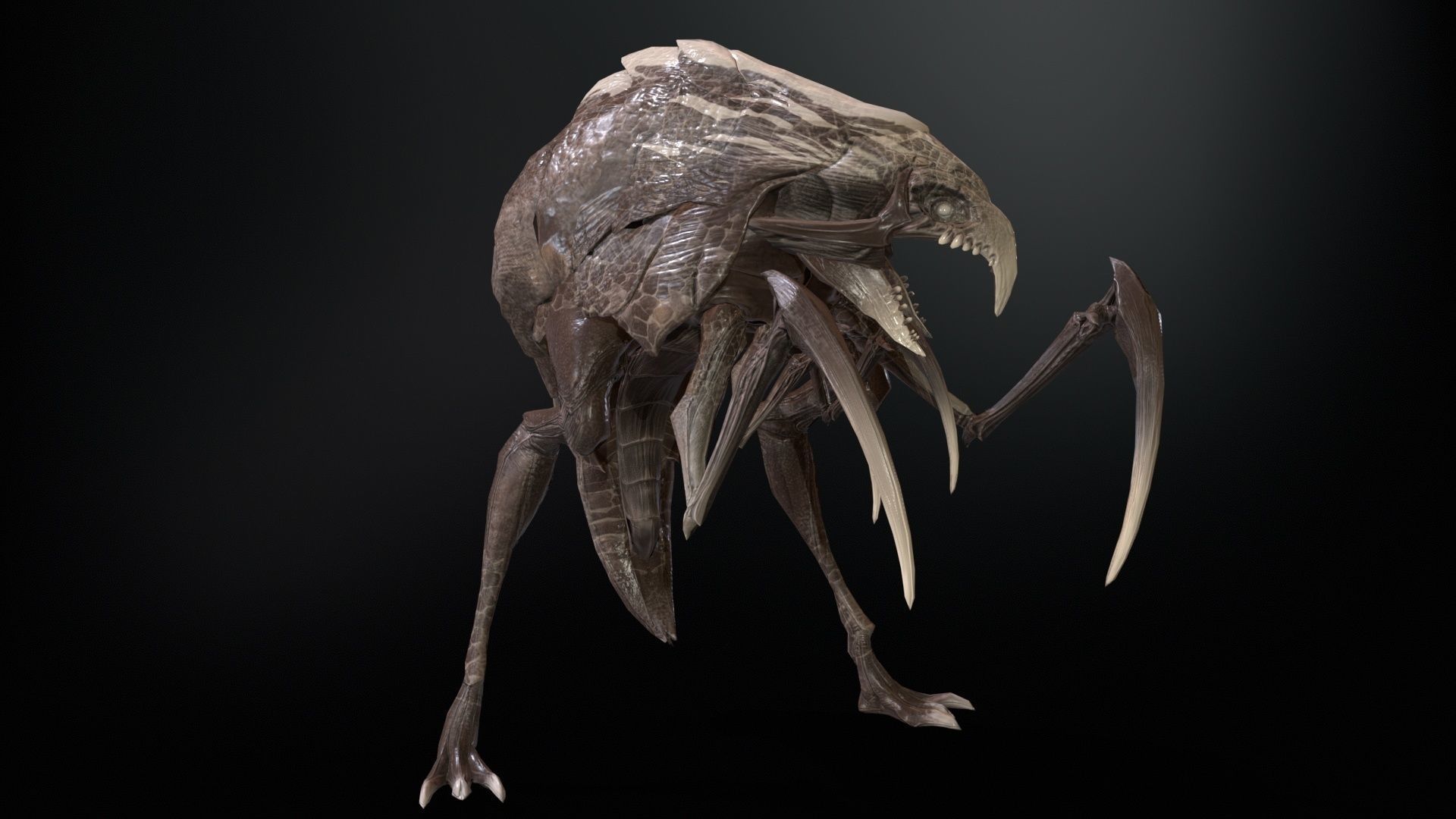 Mutant2R1 Low-poly 3D model_27