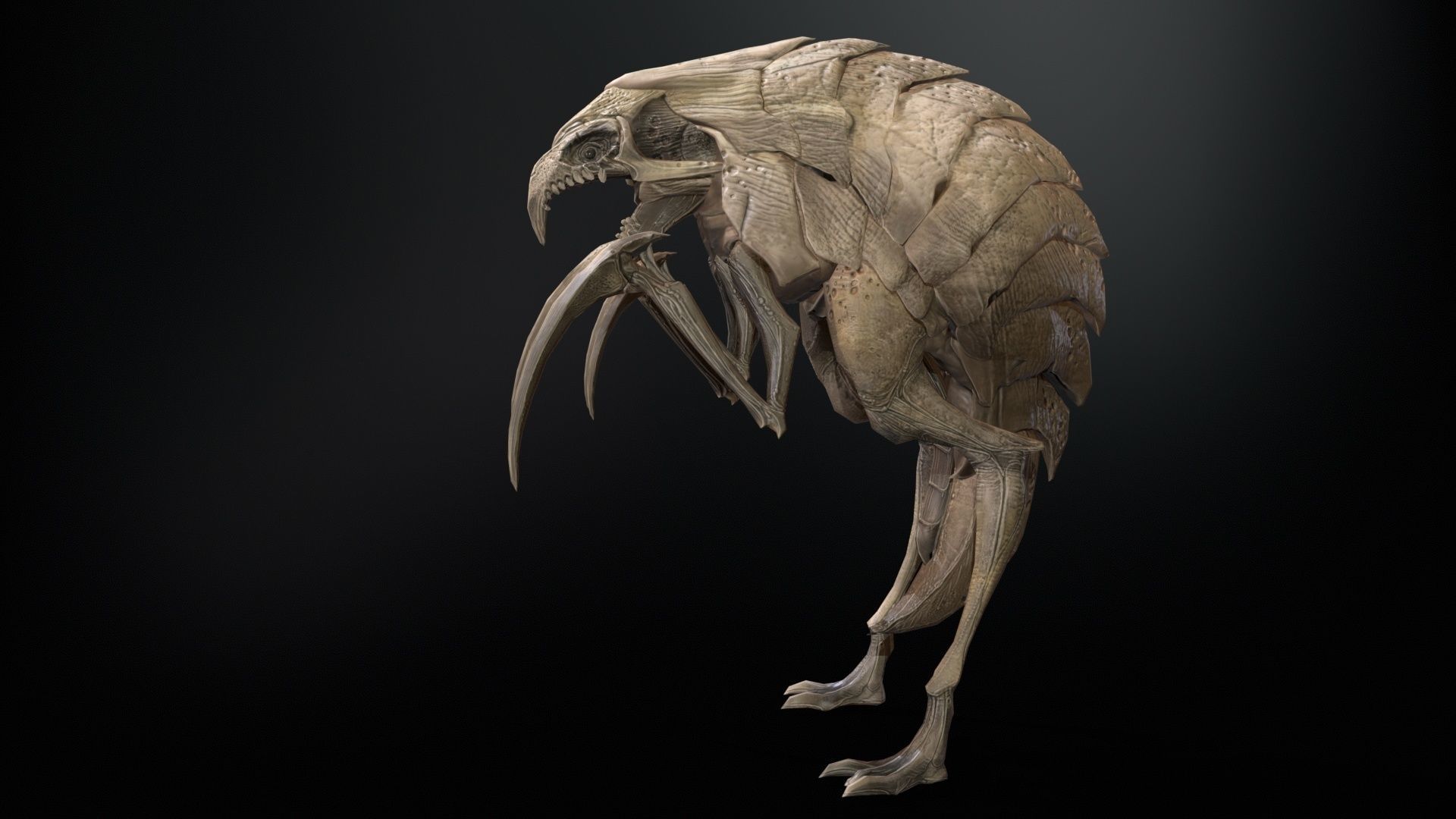 Mutant2R1 Low-poly 3D model_13