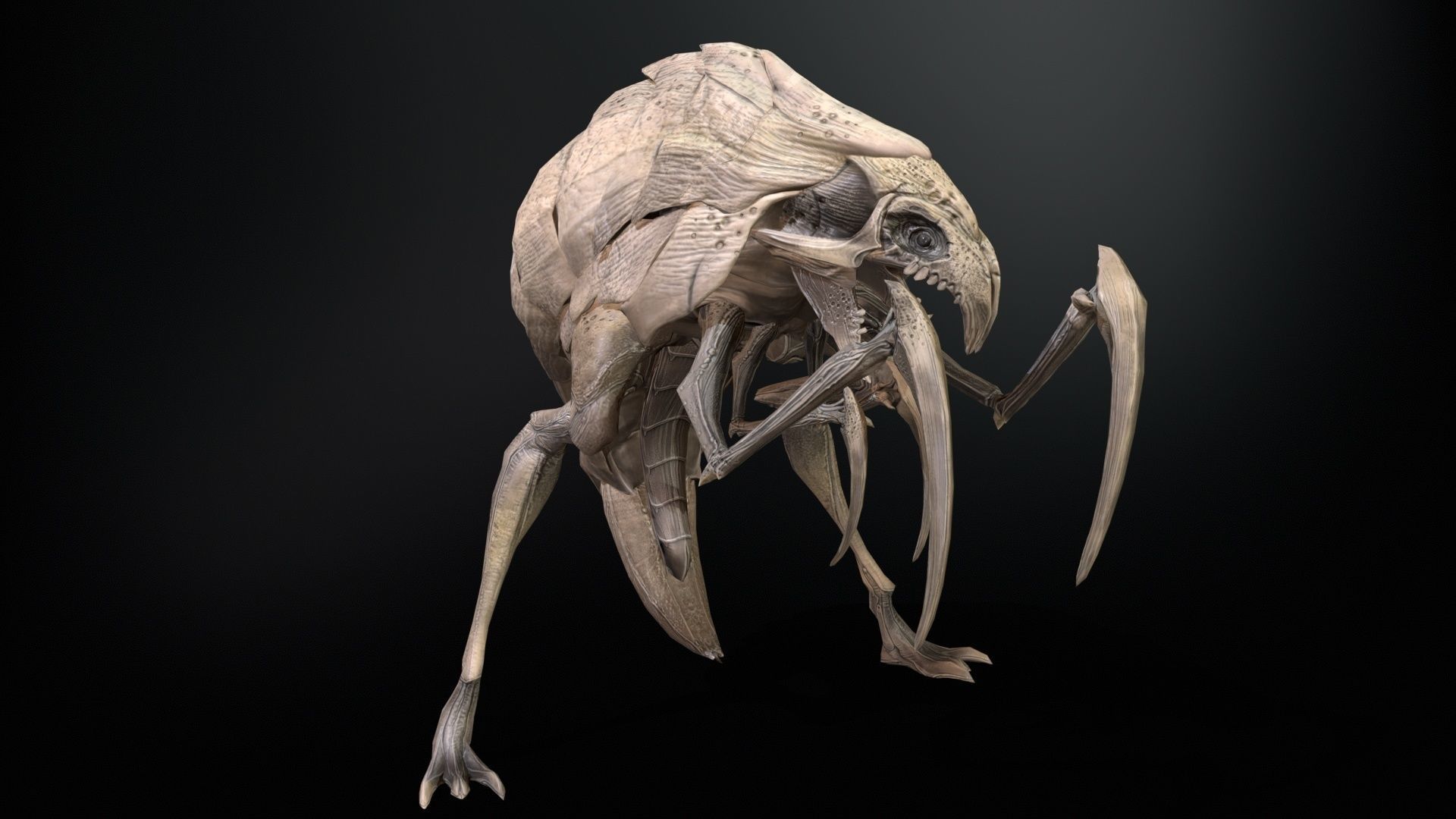 Mutant2R1 Low-poly 3D model_14