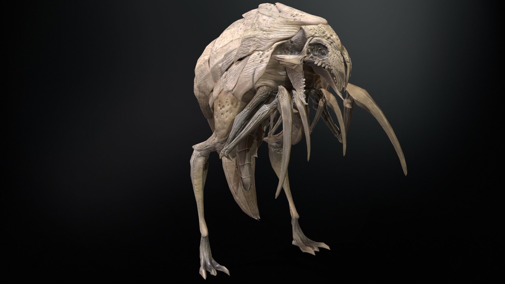 Mutant2R1 Low-poly 3D model_9