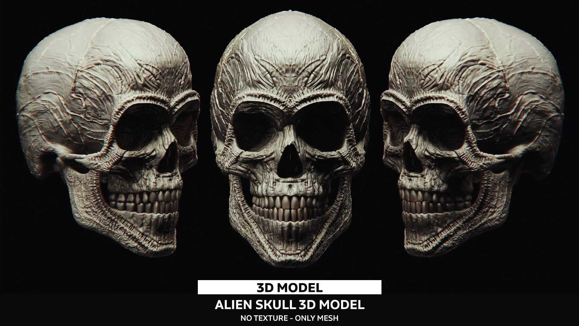 3D Printable Alien Skull Model 3D model_0