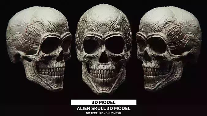 3D Printable Alien Skull Model