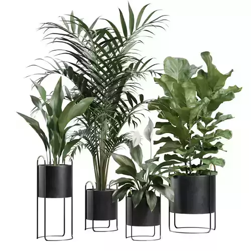 Indoor Plants Pack 69