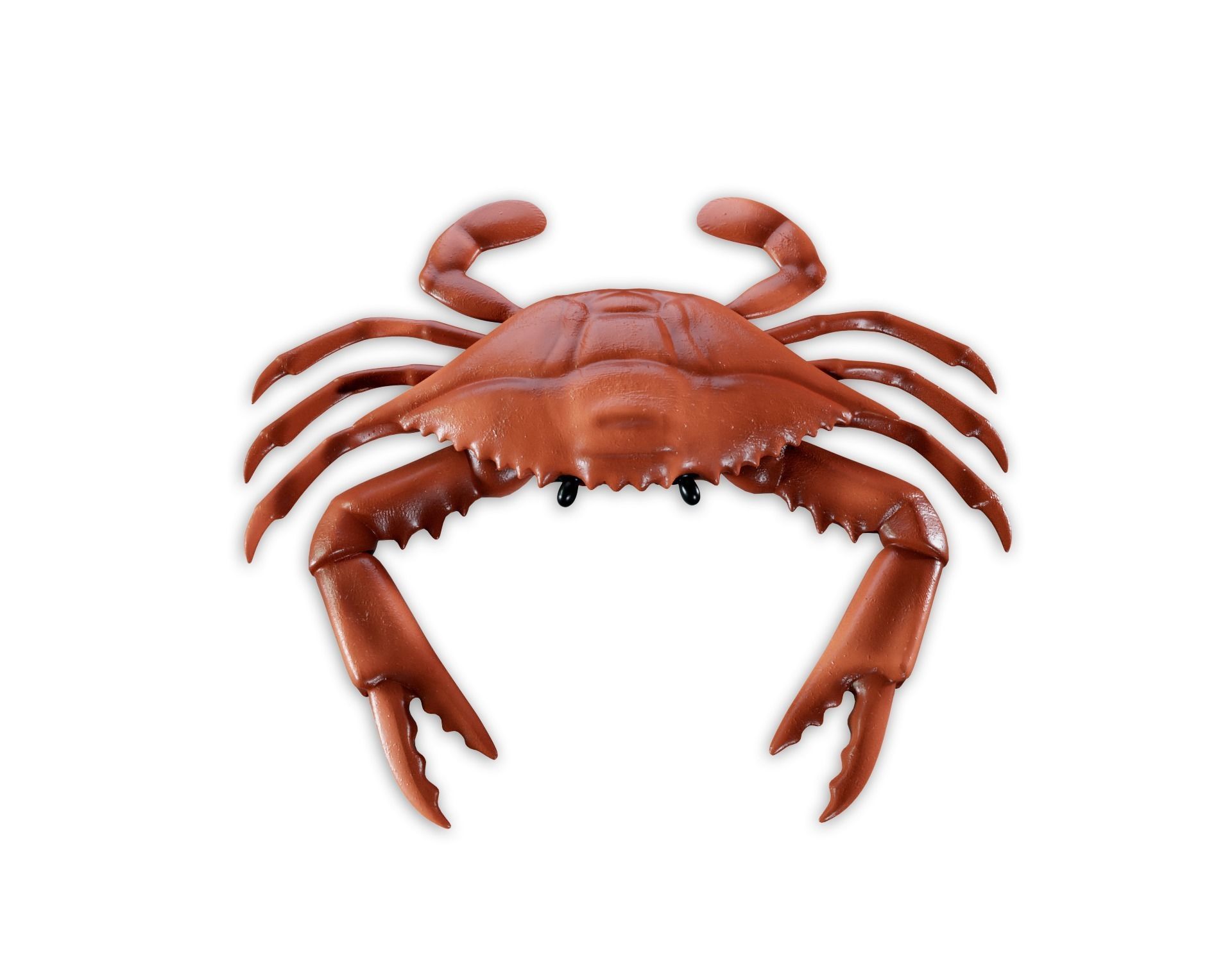 Crab 3d model Low-poly 3D model_1