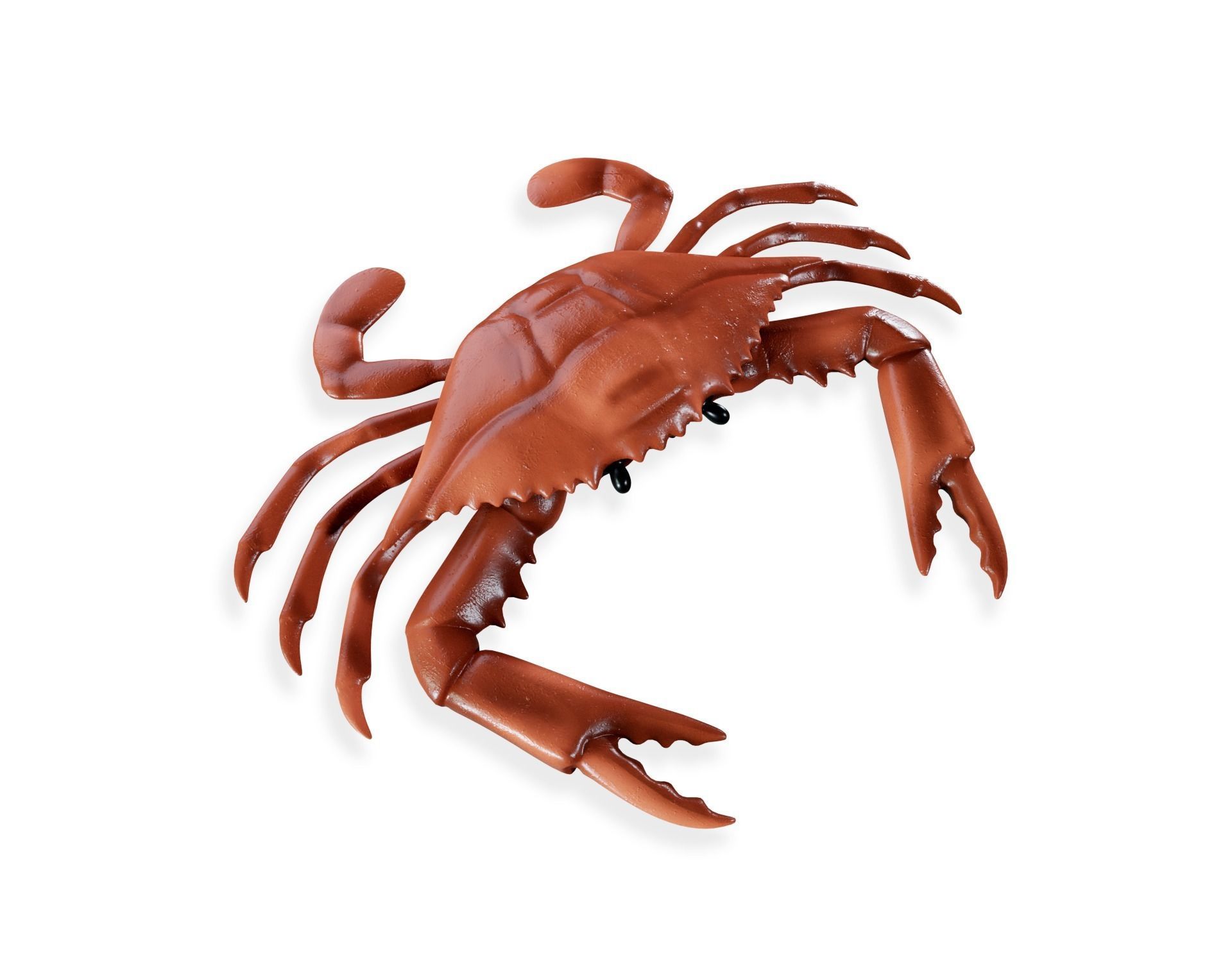Crab 3d model Low-poly 3D model_5