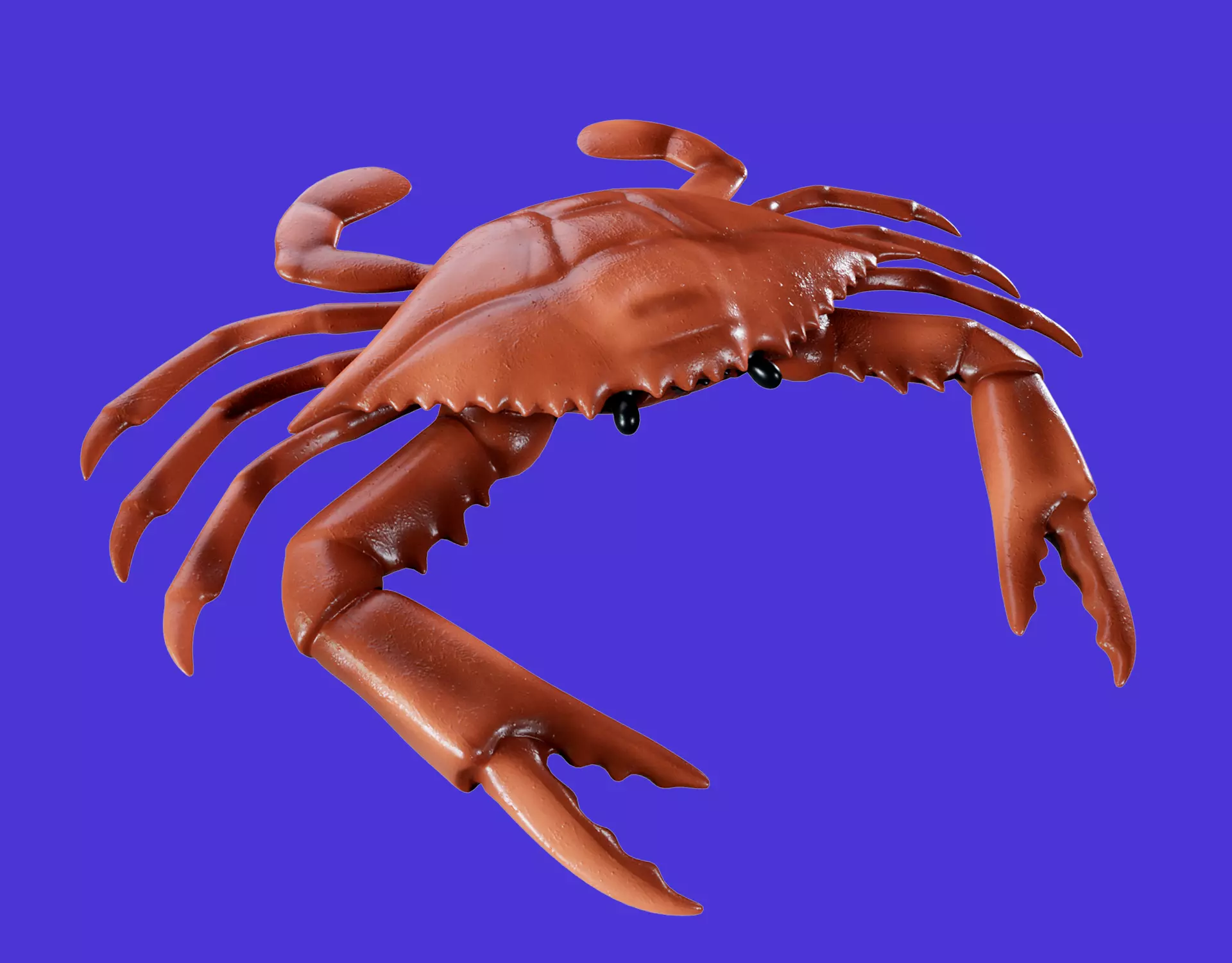Crab 3d model Low-poly 3D model_0