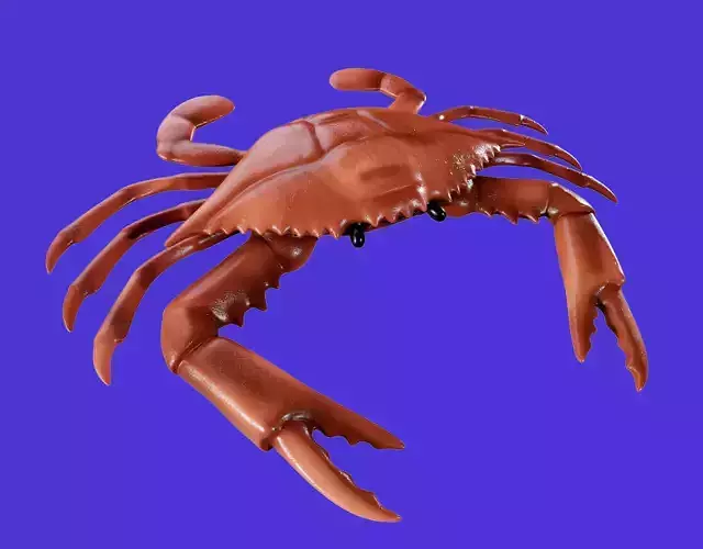 Crab 3d model Low-poly 3D model