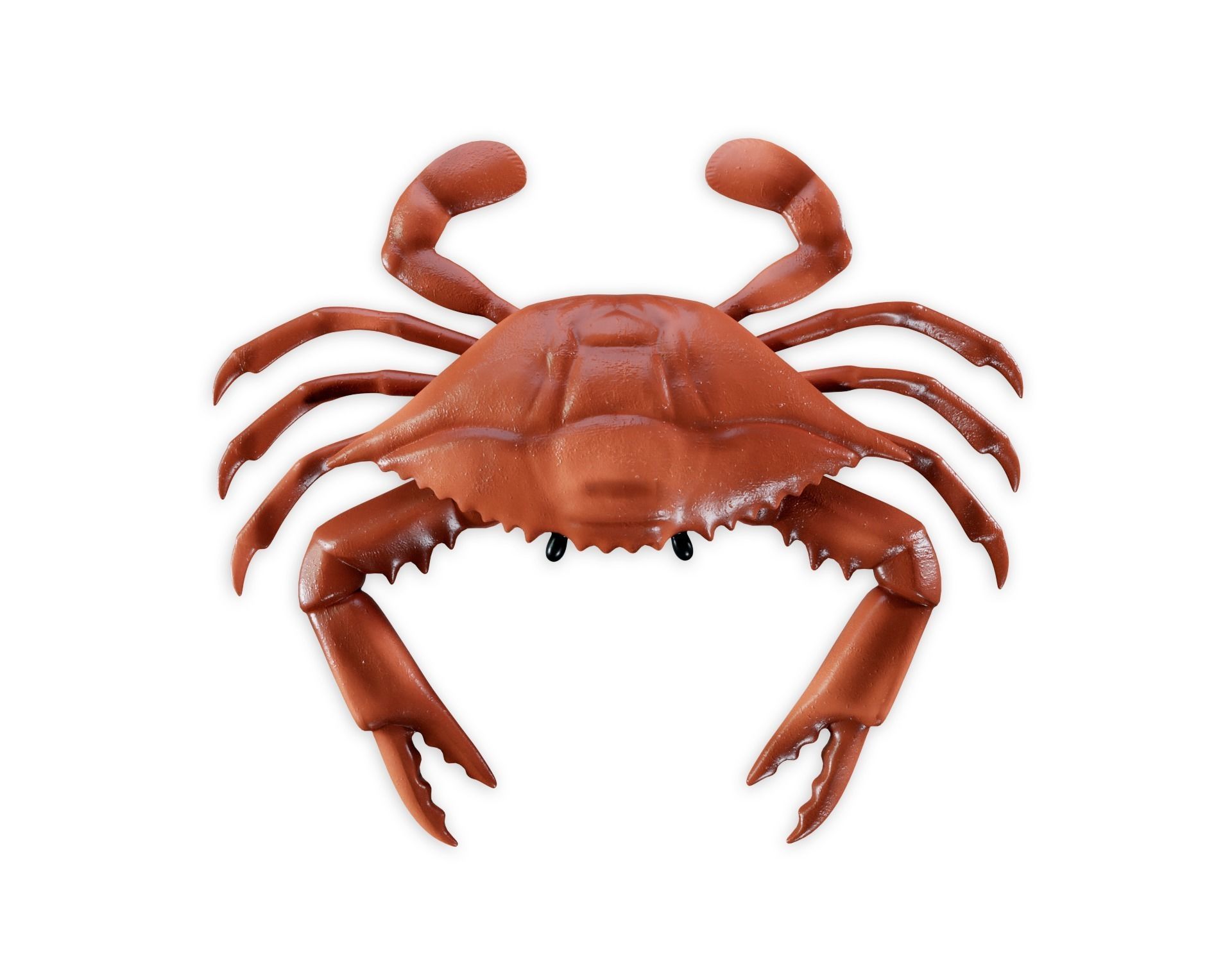 Crab 3d model Low-poly 3D model_2