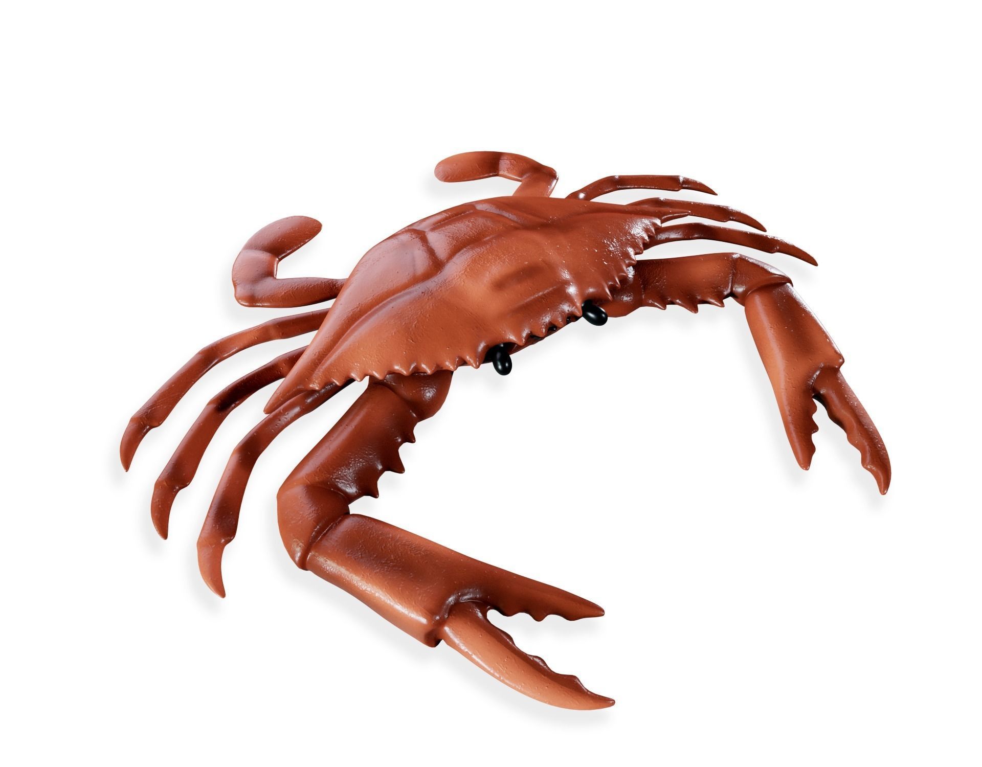 Crab 3d model Low-poly 3D model_4