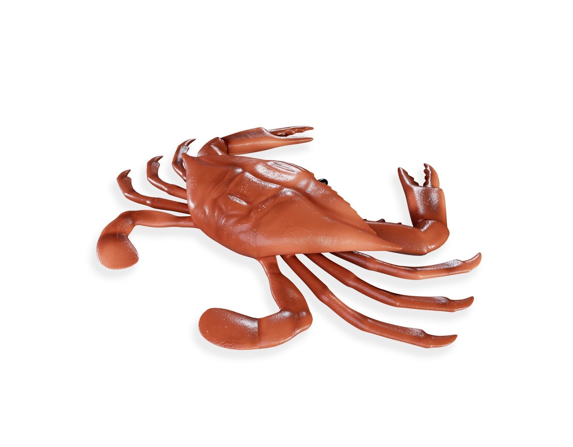 Crab 3d model Low-poly 3D model_3
