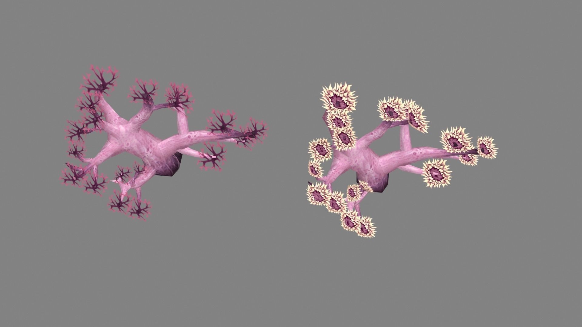  Cartoon coral Low-poly 3D model_2